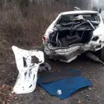 Під Вінницею Toyota зіткнулась з деревом (Фото)