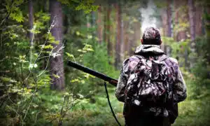 товары для охоты